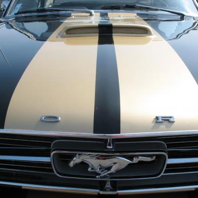 mustang